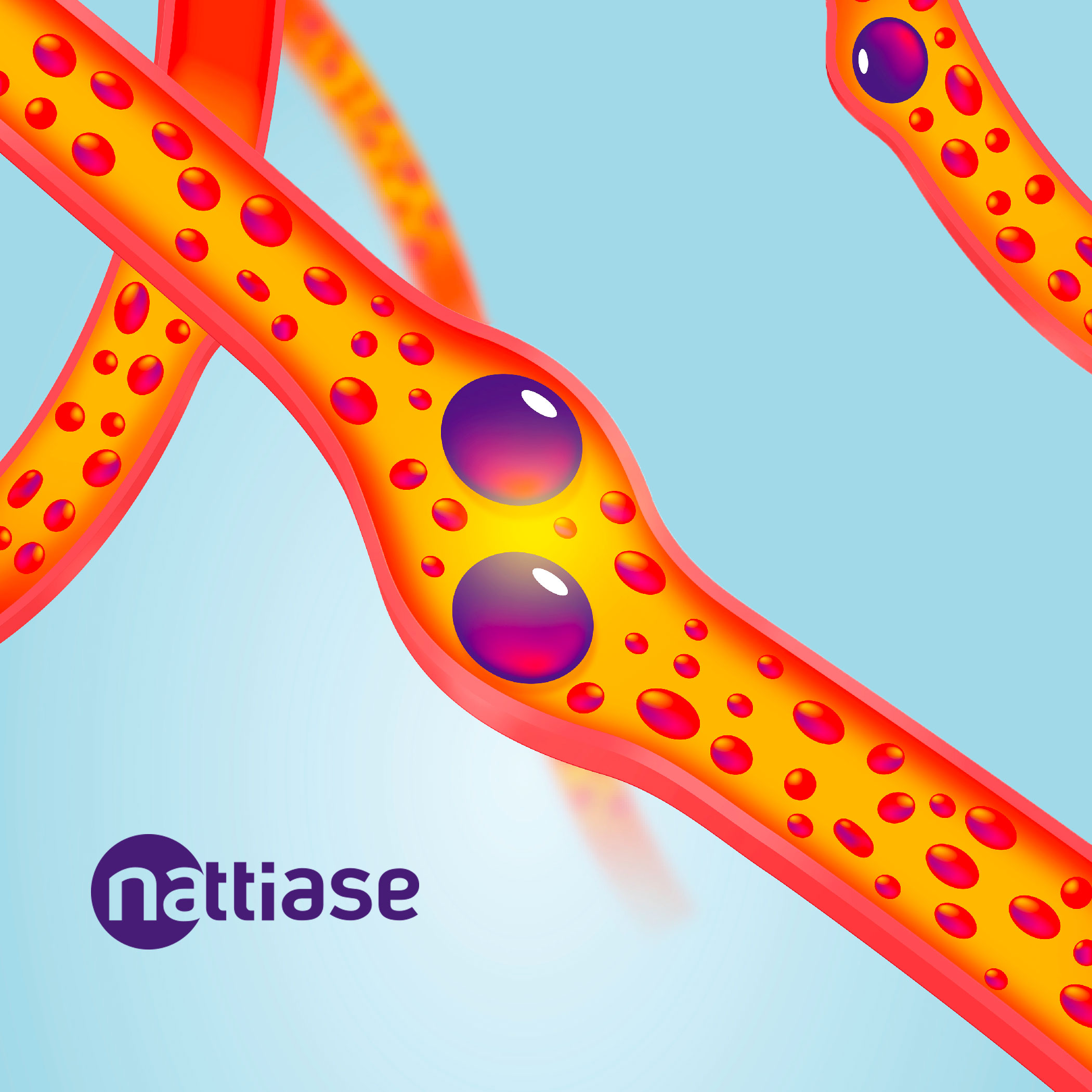 Nattiase® and Nattokinase , vessel