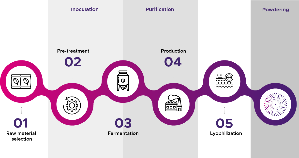 Nattiase manufacturing process - Nattiase® and Nattokinase