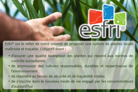 Esfri : une filière traçable, sécurisée et de qualité