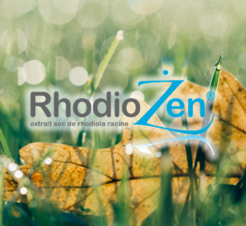 Rhodiozen un ingrédient unique composé d’une plante légendaire Rhodiola rosea L