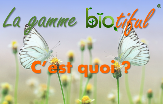 Gamme d'extraits bio : biotiful® 