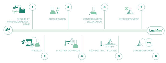 Luzixine Process d'extraction