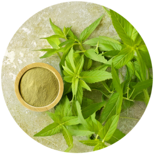 Mentalify verveine citronée poudre