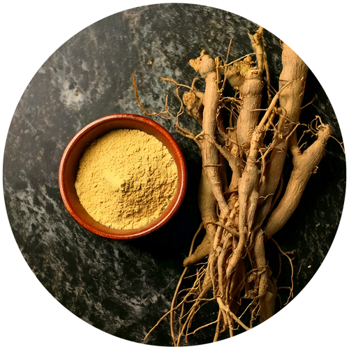 racines d'ashwagandha en poudre